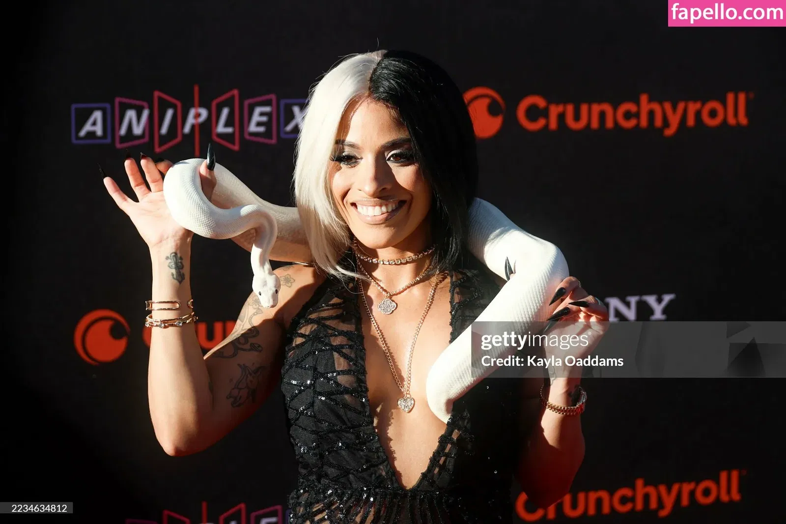 Zelina Vega Onlyfans Photo Gallery 