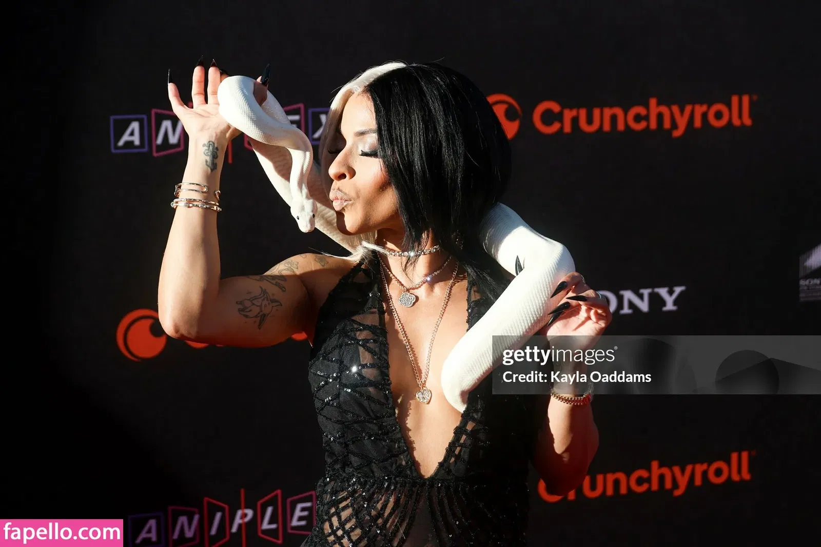 Zelina Vega Onlyfans Photo Gallery 