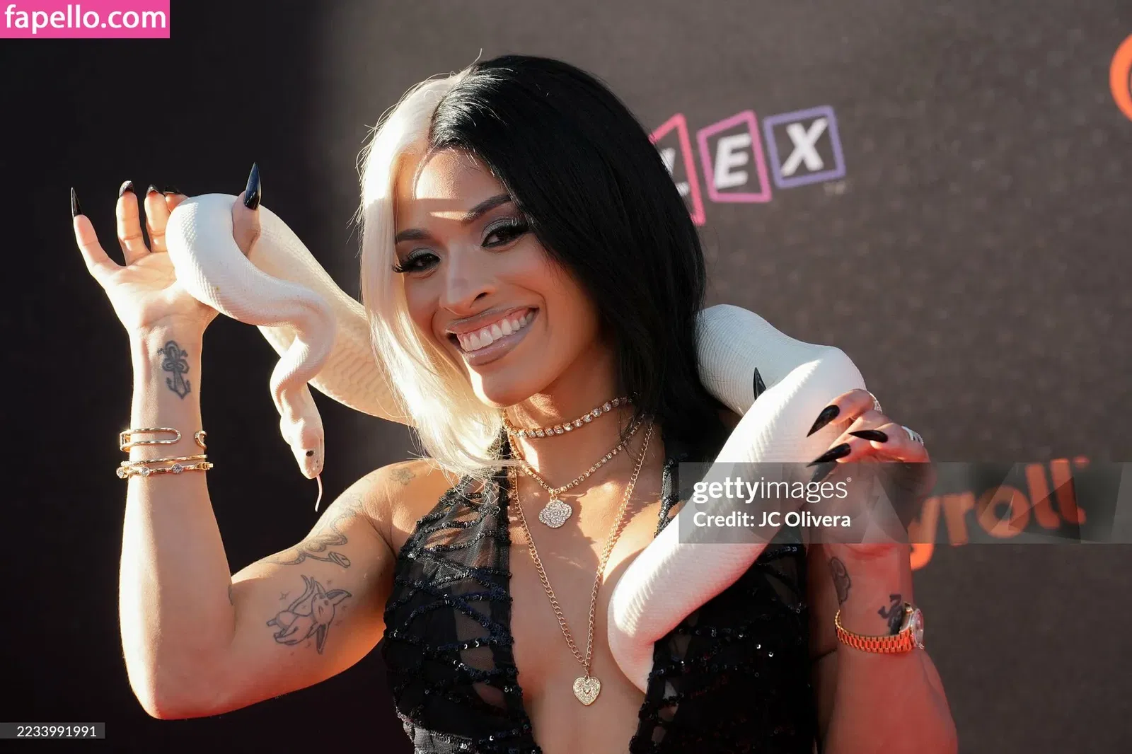 Zelina Vega Onlyfans Photo Gallery 