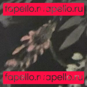 tarathewitch Onlyfans Photo Gallery 