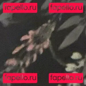 tarathewitch Onlyfans Photo Gallery 