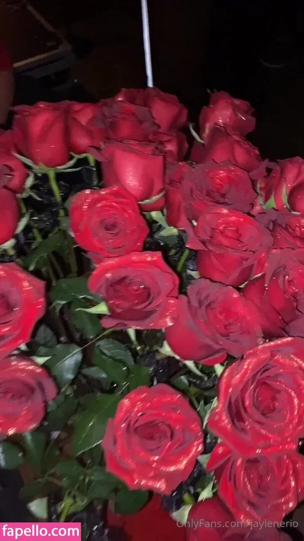 jaylenerio Onlyfans Photo Gallery 