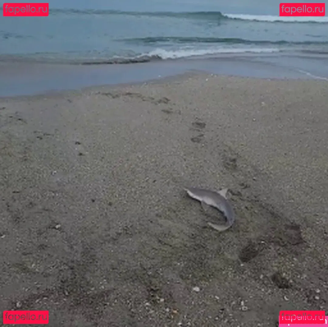 LivStixs Onlyfans Photo Gallery 