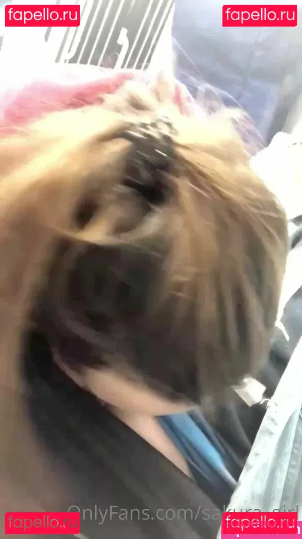 lera_lera_ Onlyfans Photo Gallery 