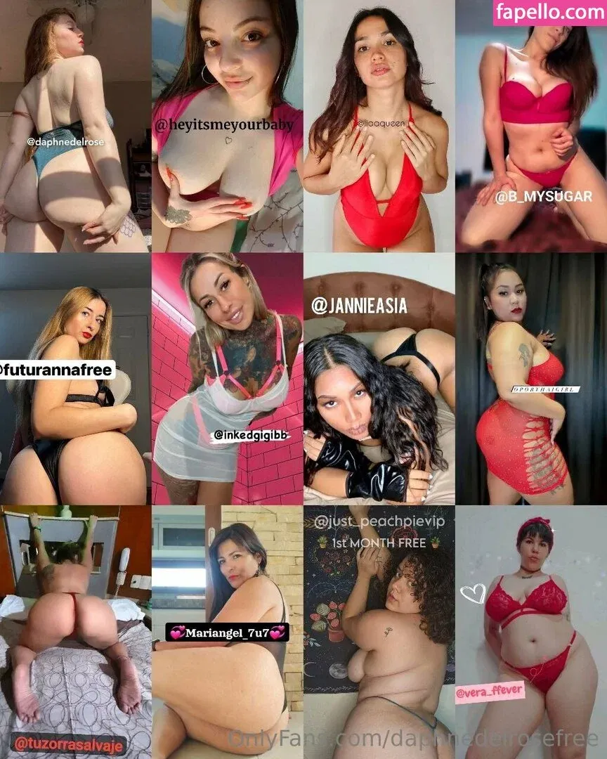 daphnedelrose Onlyfans Photo Gallery 