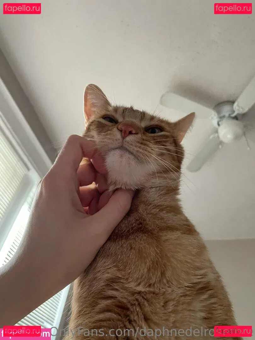 daphnedelrose Onlyfans Photo Gallery 