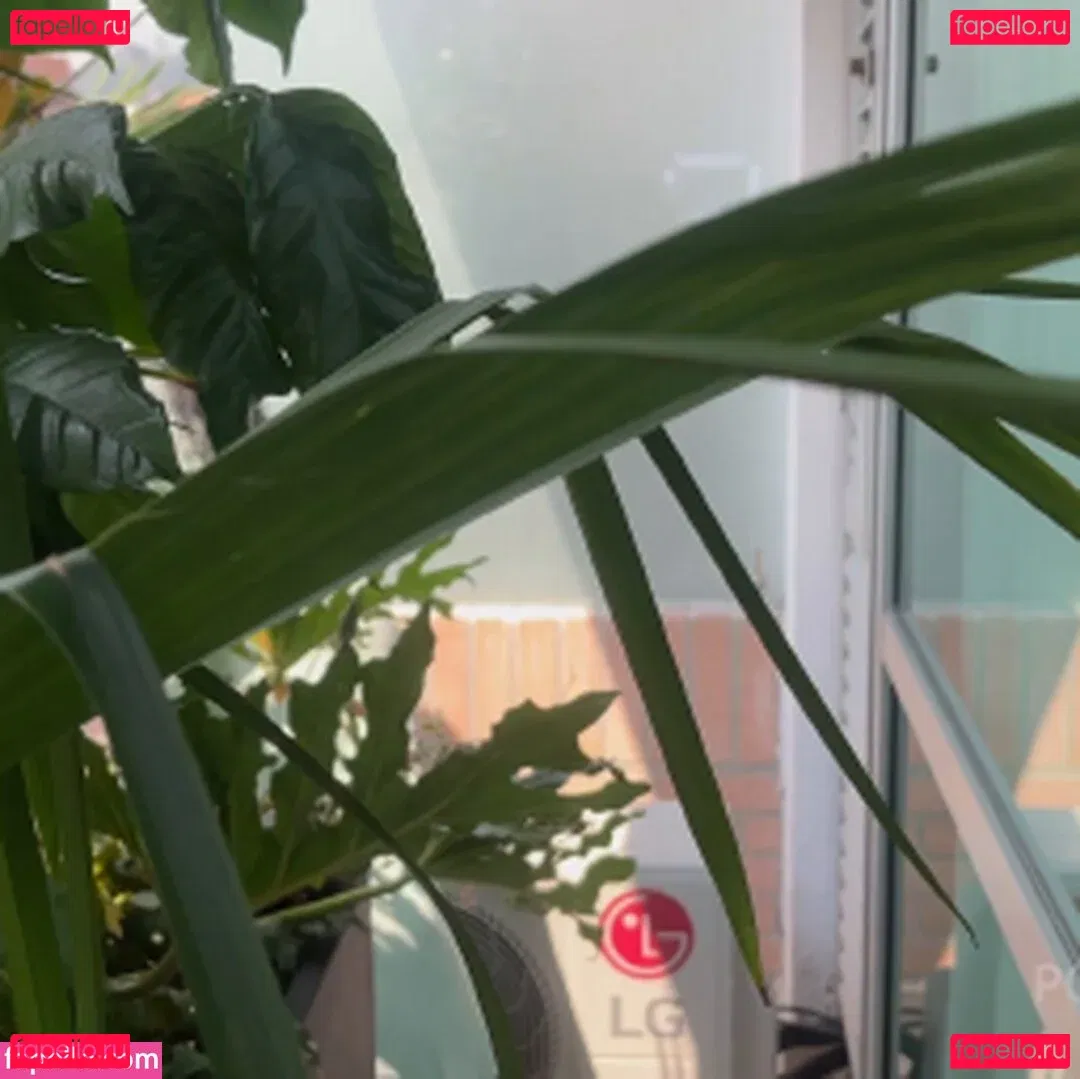 Amanda Rabbit Onlyfans Photo Gallery 