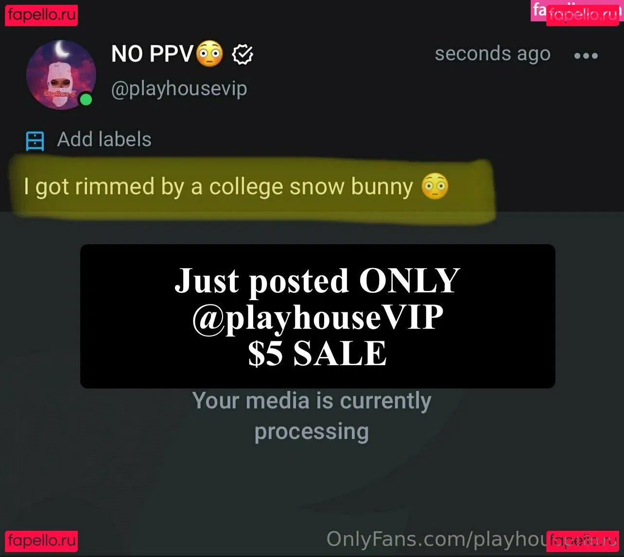 playhousefans Onlyfans Photo Gallery 