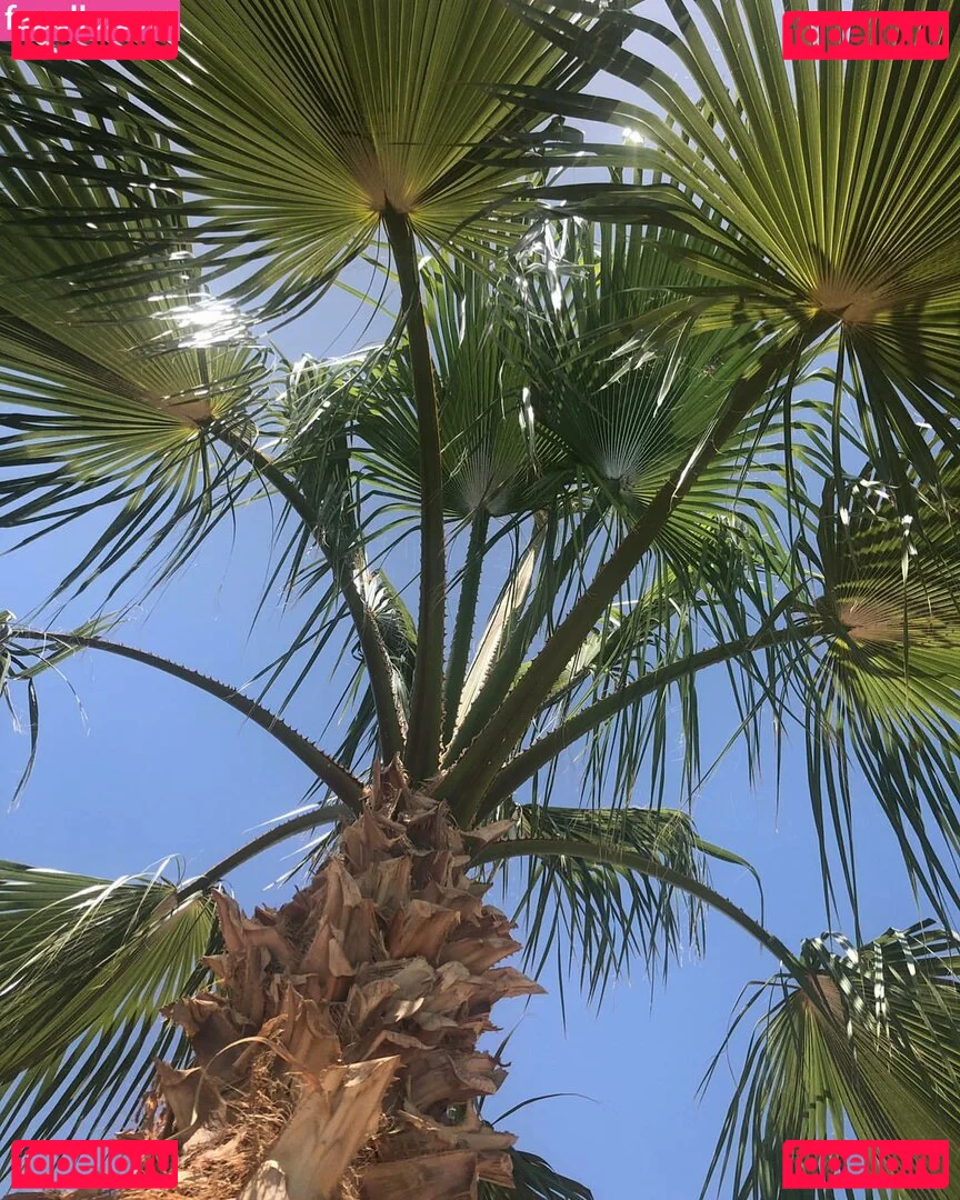 Natasha Thomsen Onlyfans Photo Gallery 