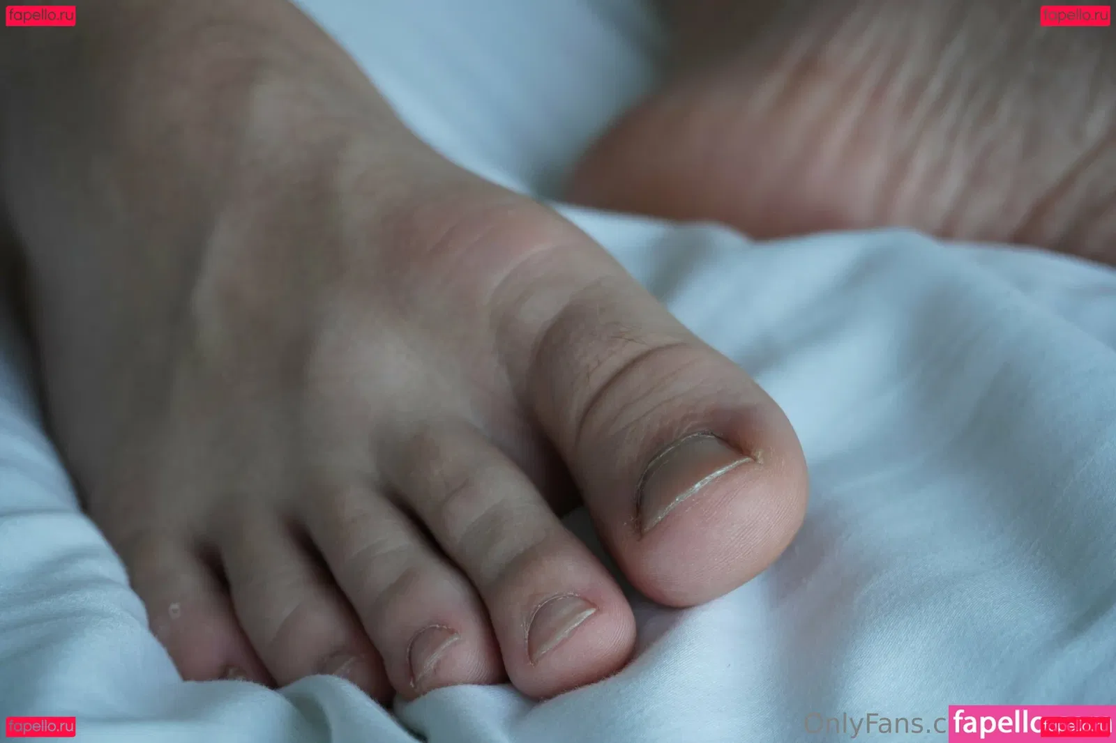 jasupsss Onlyfans Photo Gallery 