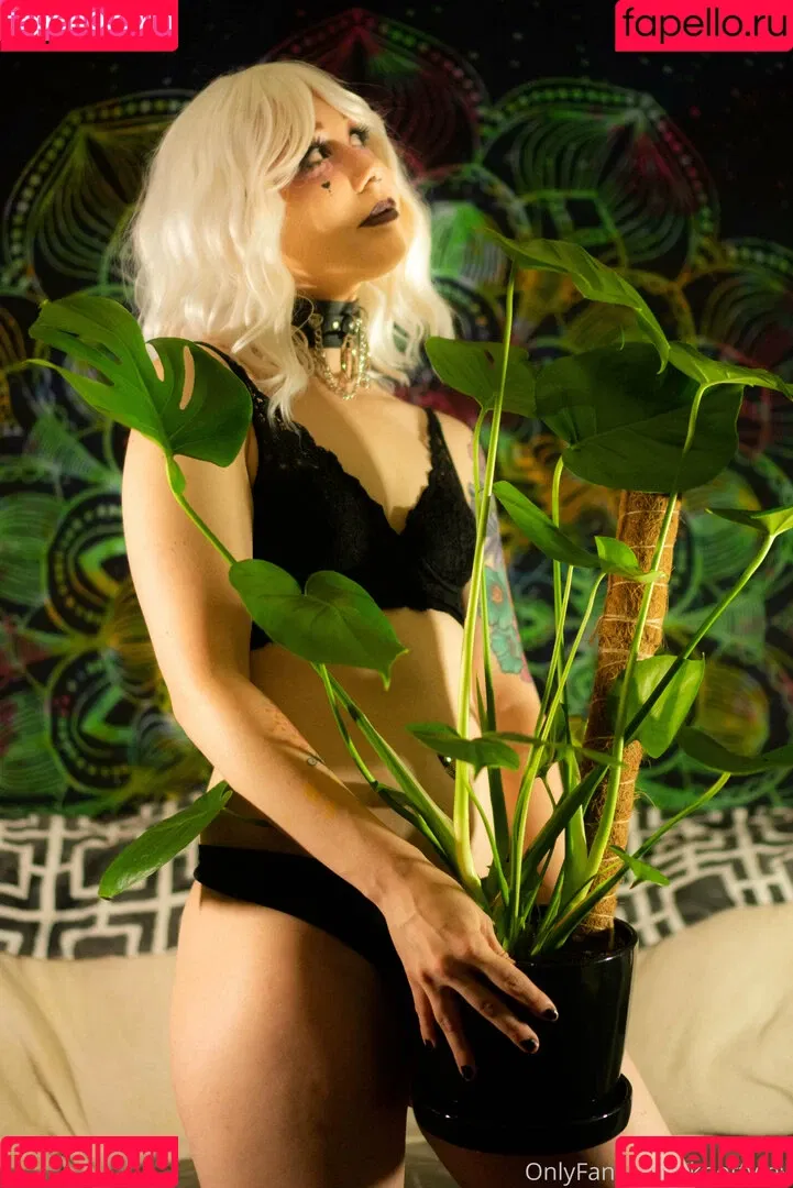 knottyfay Onlyfans Photo Gallery 
