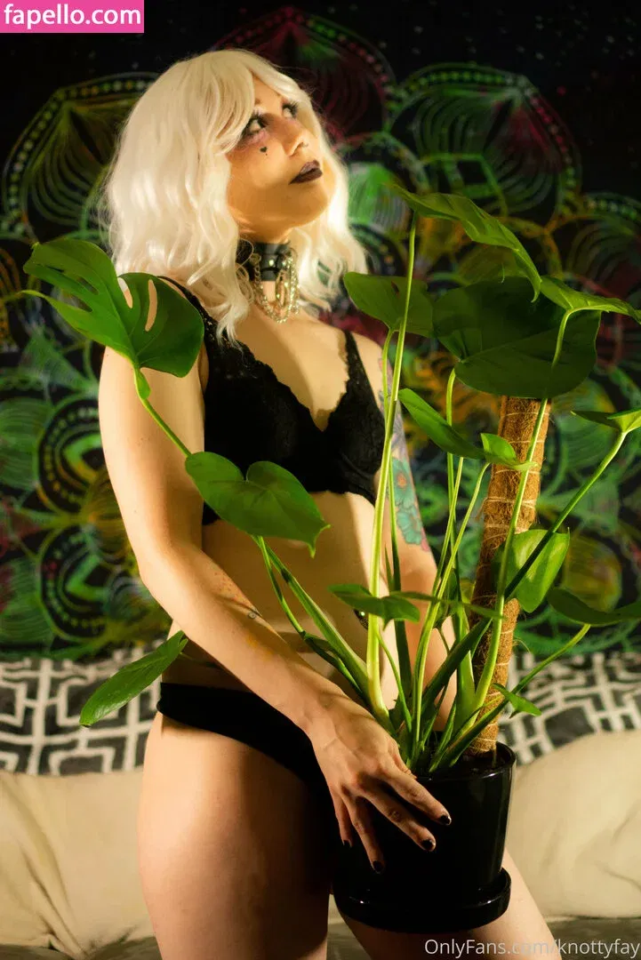 knottyfay Onlyfans Photo Gallery 