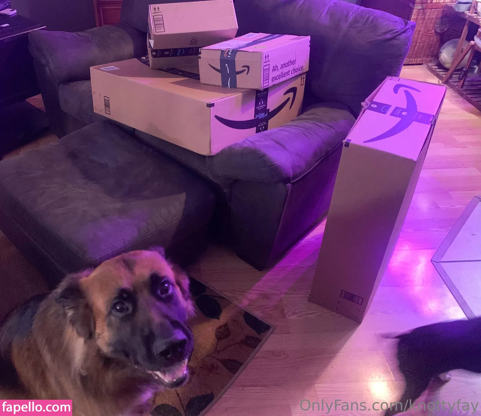 knottyfay Onlyfans Photo Gallery 