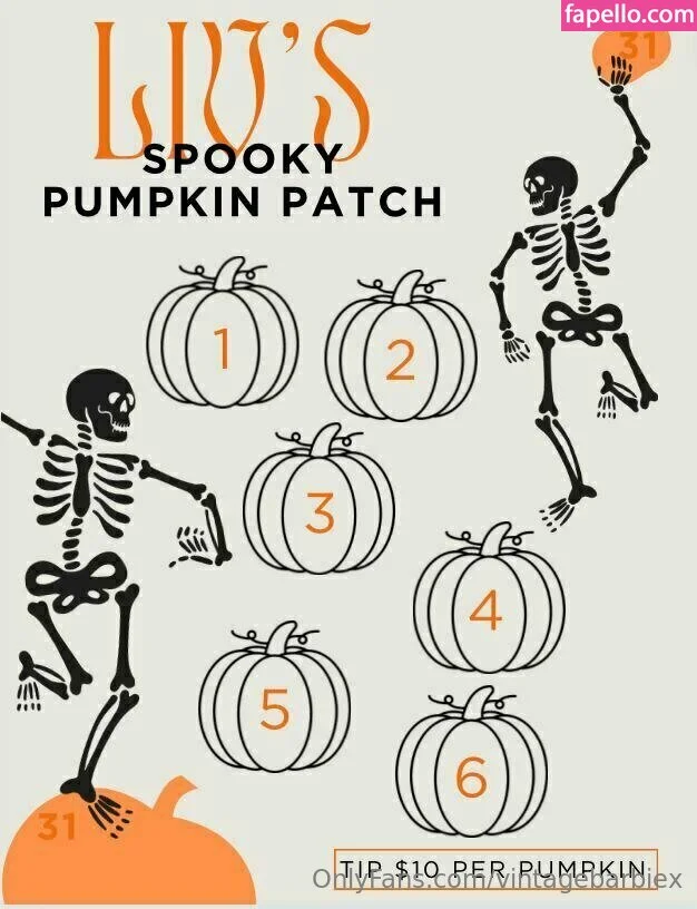 vintagebarbiex Onlyfans Photo Gallery 