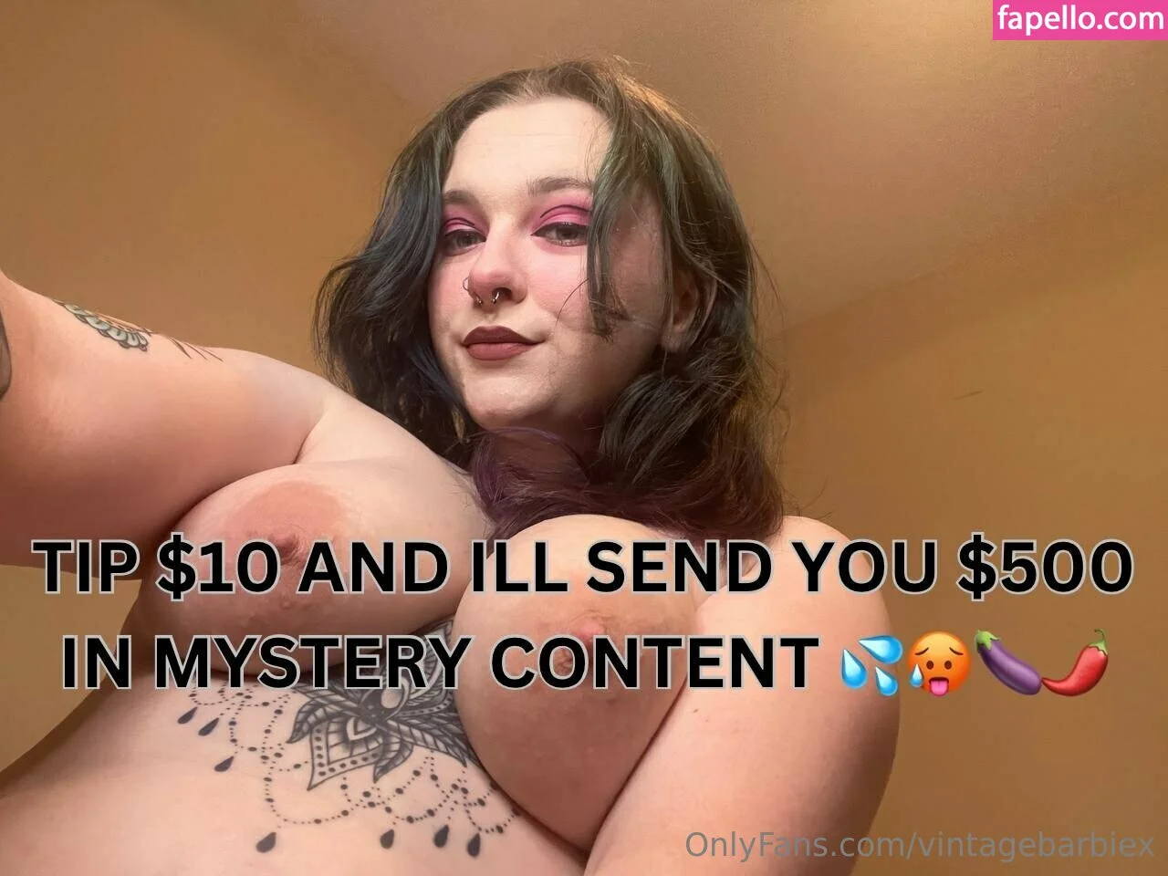 vintagebarbiex Onlyfans Photo Gallery 