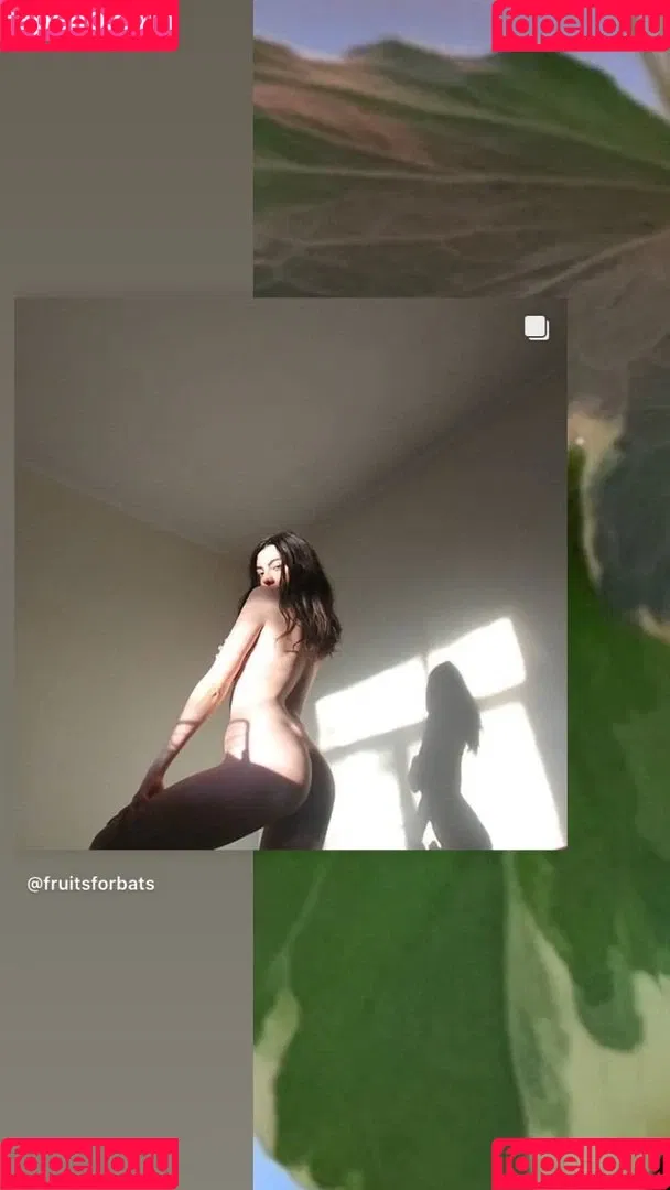 fruitsforbats Onlyfans Photo Gallery 
