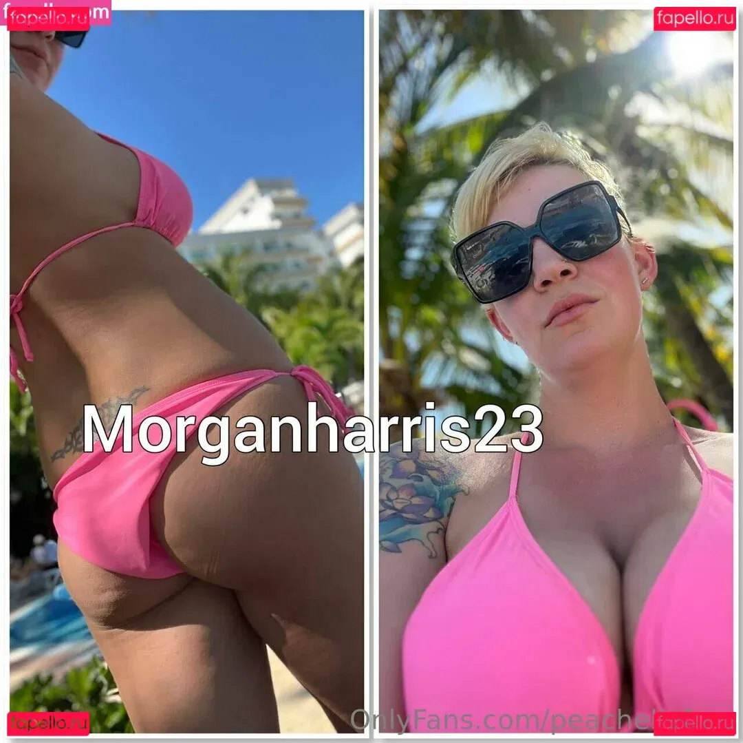 peachellafree Onlyfans Photo Gallery 