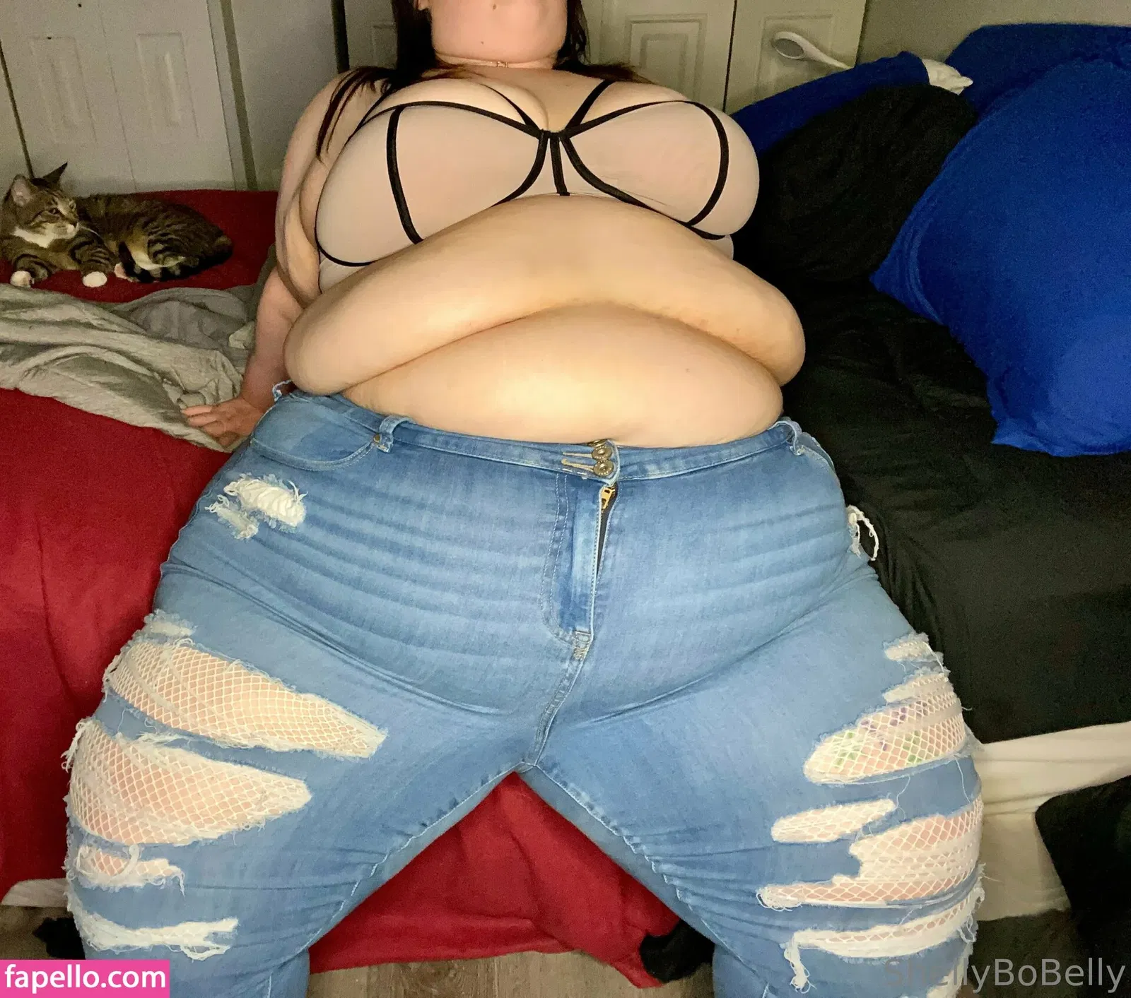 shellybobelly Onlyfans Photo Gallery 