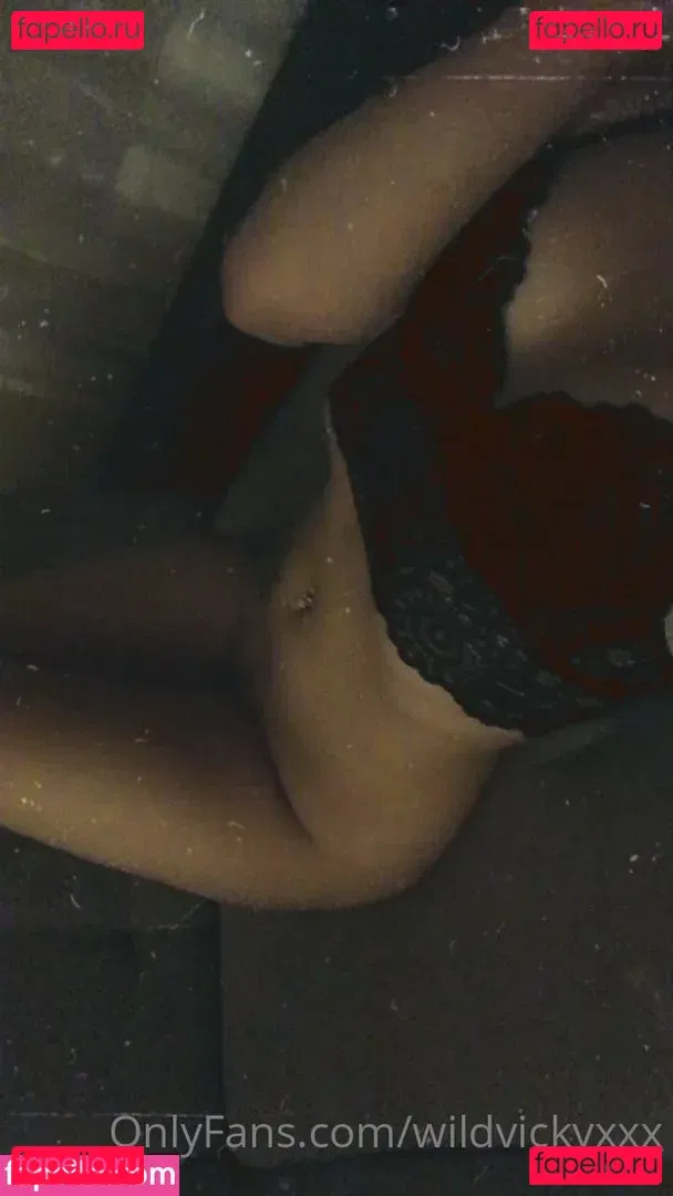 wildvix Onlyfans Photo Gallery 