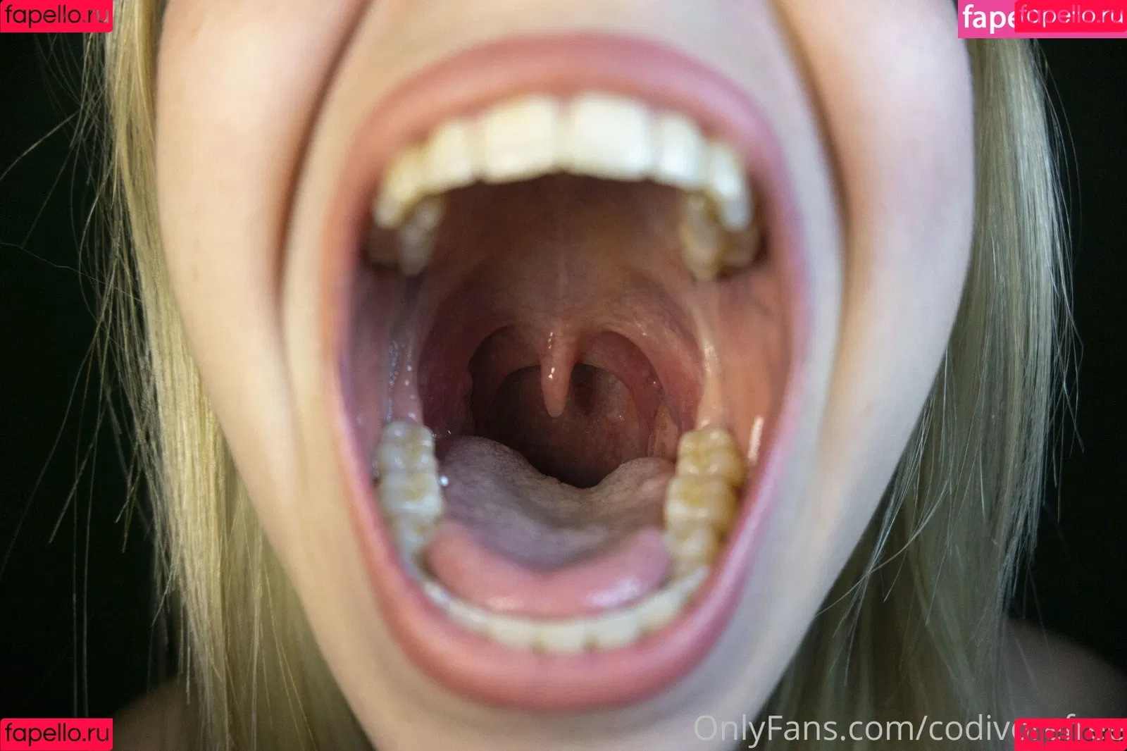 Codi Vore Onlyfans Photo Gallery 