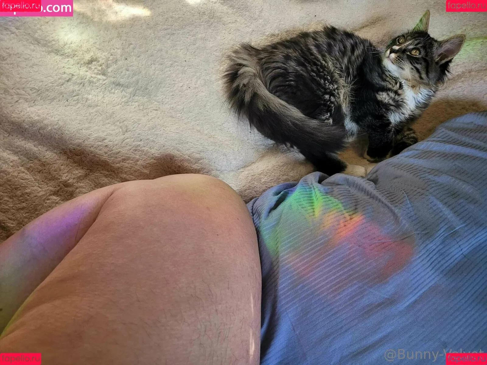 bunny-velvet Onlyfans Photo Gallery 
