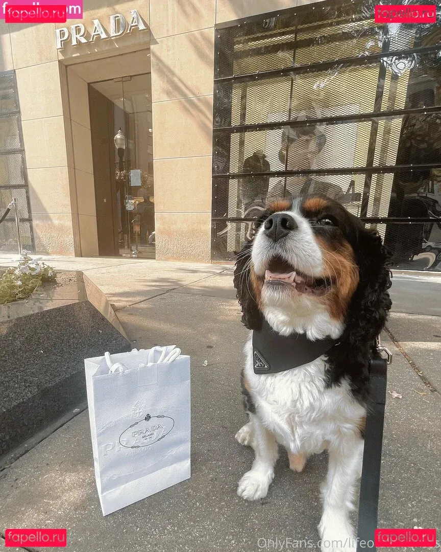 lifeofalexjames Onlyfans Photo Gallery 