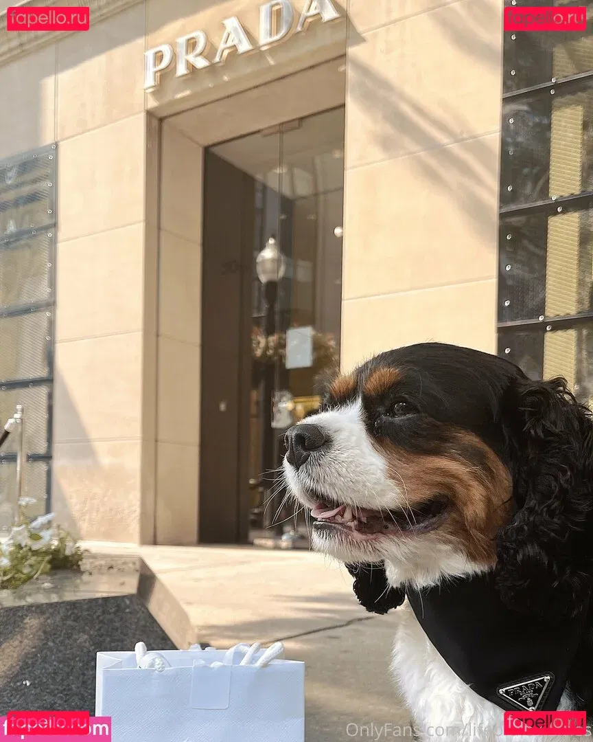 lifeofalexjames Onlyfans Photo Gallery 