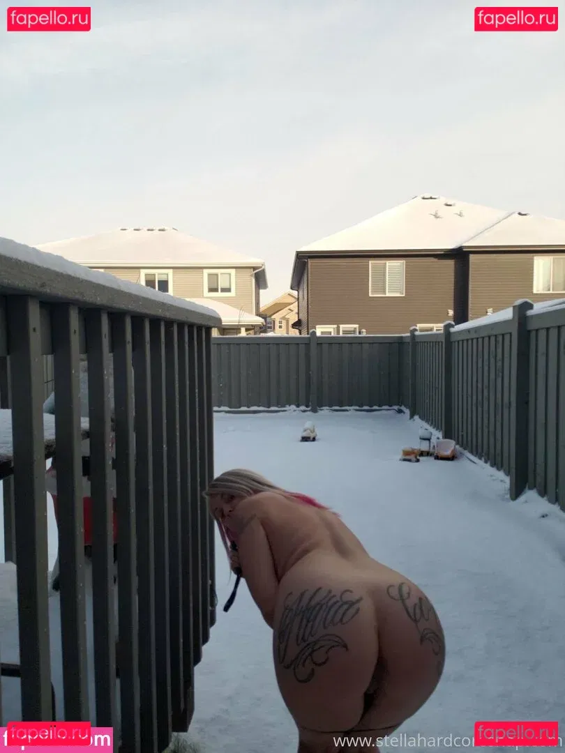 stellashardcore Onlyfans Photo Gallery 