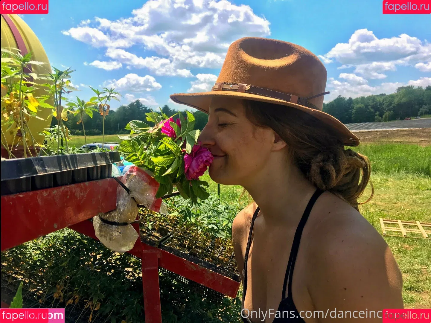 danceincannabis Onlyfans Photo Gallery 