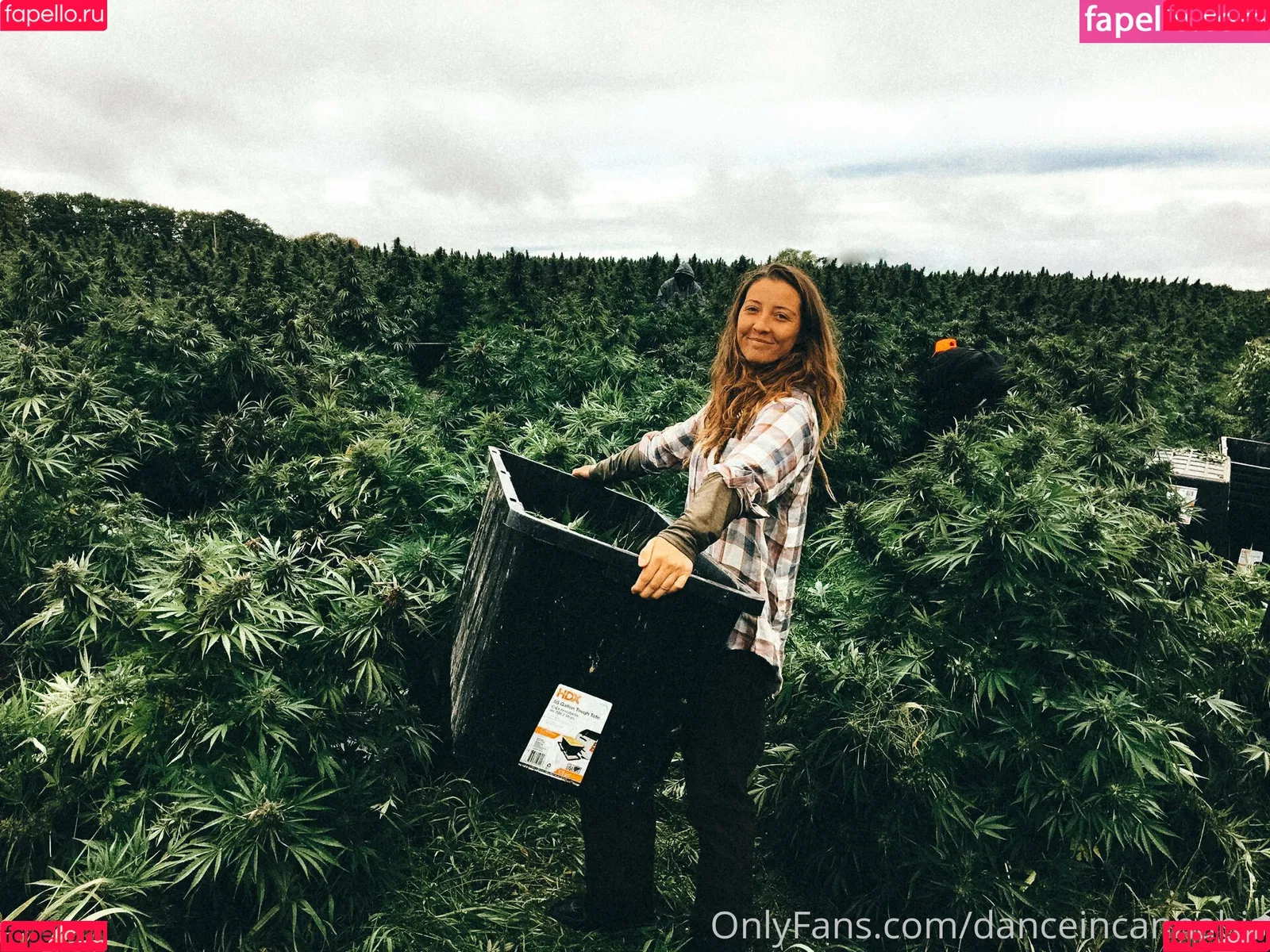 danceincannabis Onlyfans Photo Gallery 