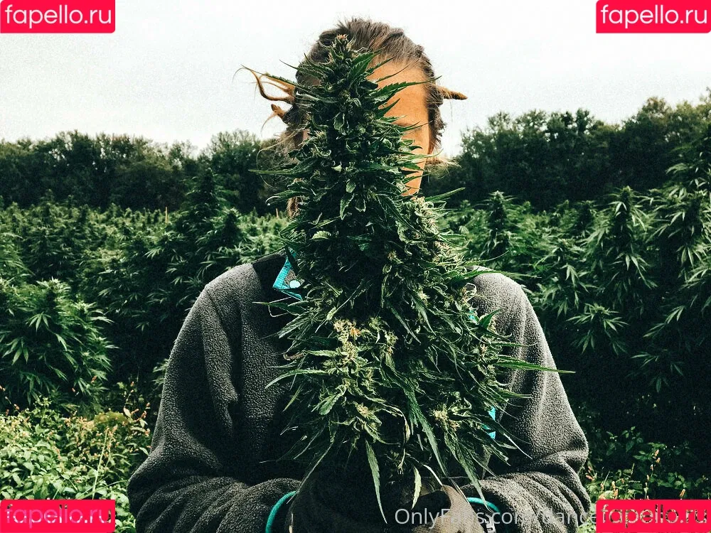 danceincannabis Onlyfans Photo Gallery 