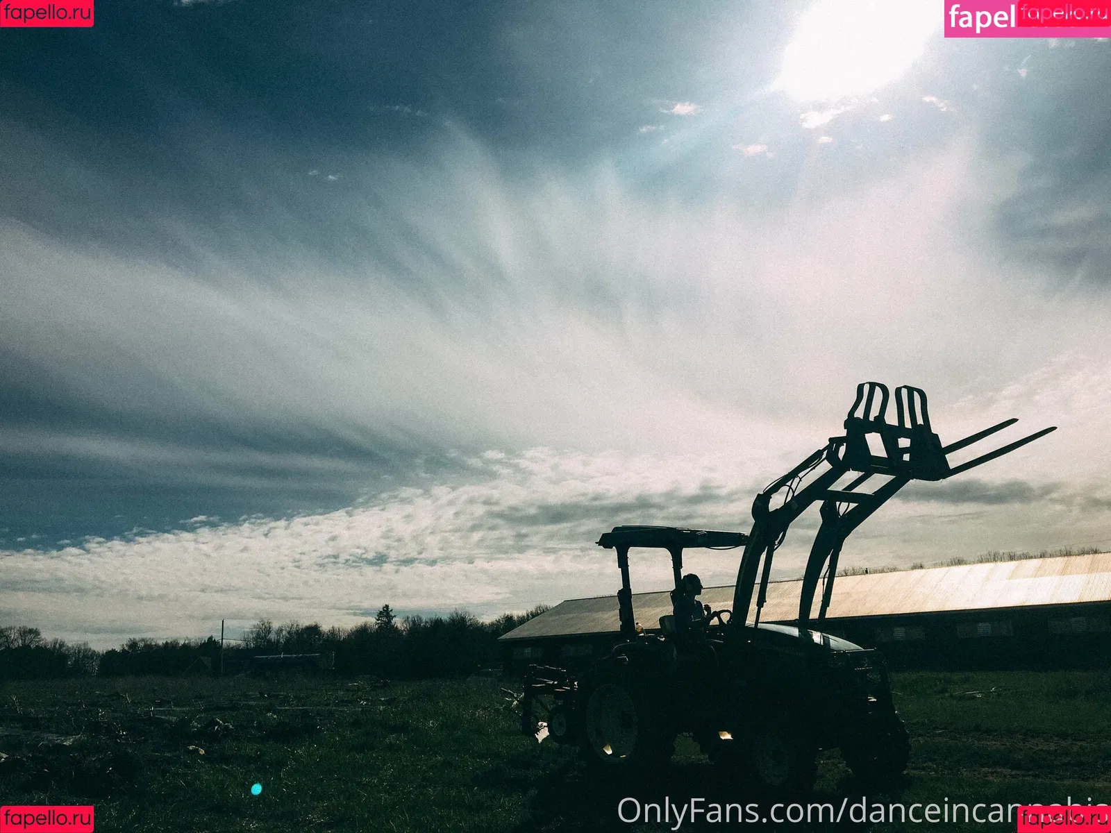 danceincannabis Onlyfans Photo Gallery 