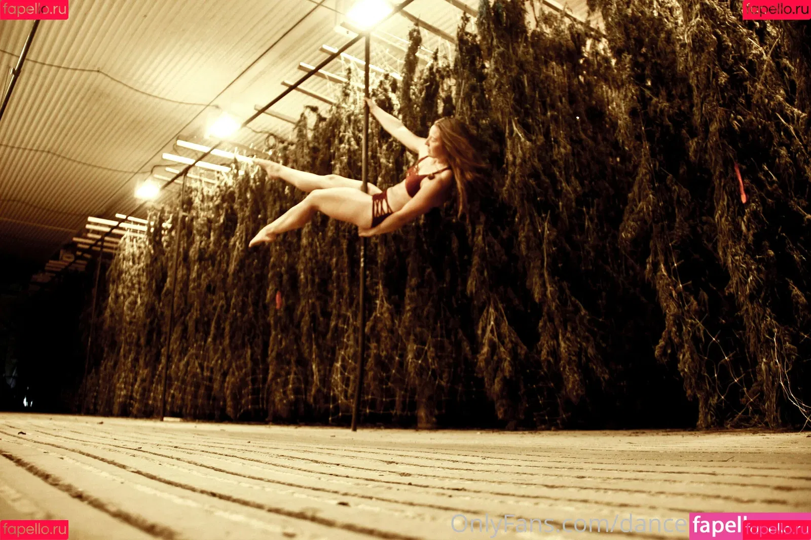 danceincannabis Onlyfans Photo Gallery 