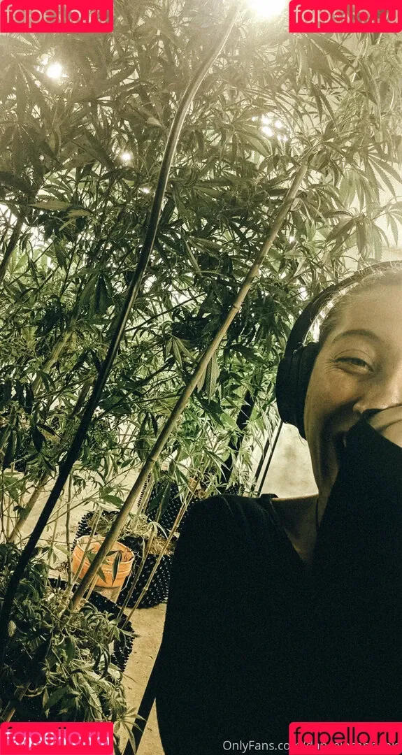 danceincannabis Onlyfans Photo Gallery 