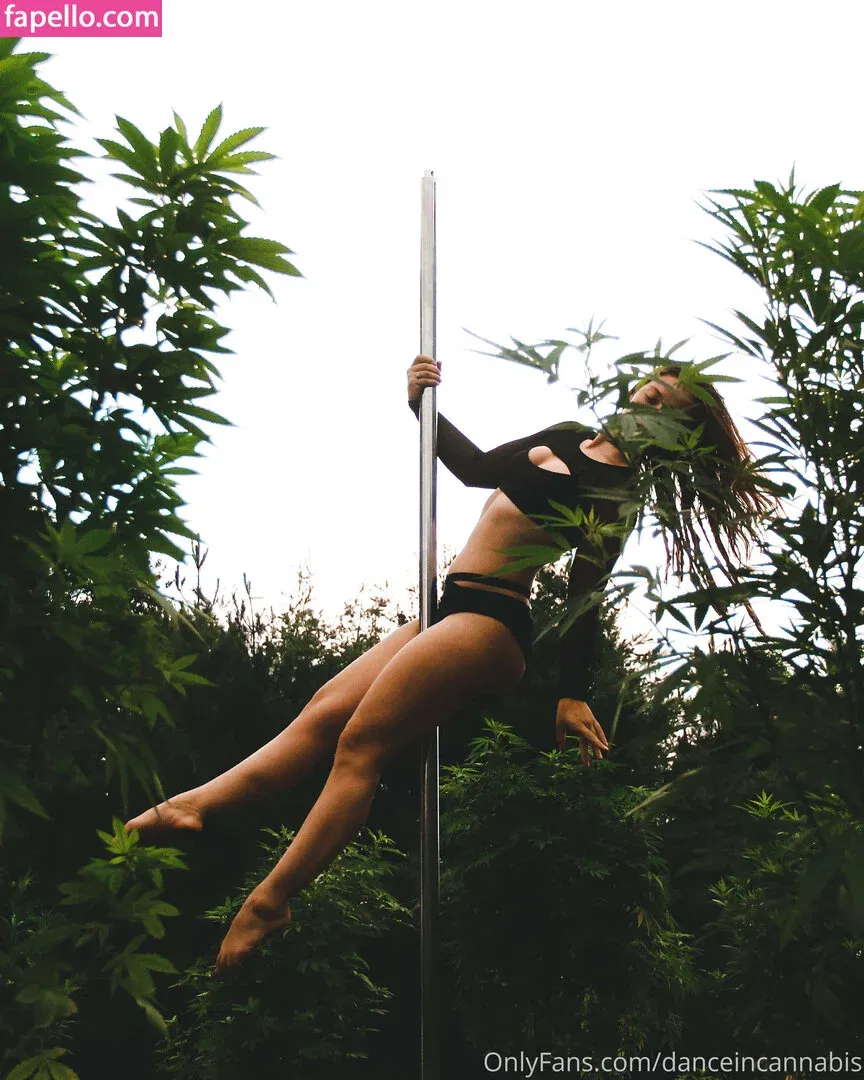 danceincannabis Onlyfans Photo Gallery 