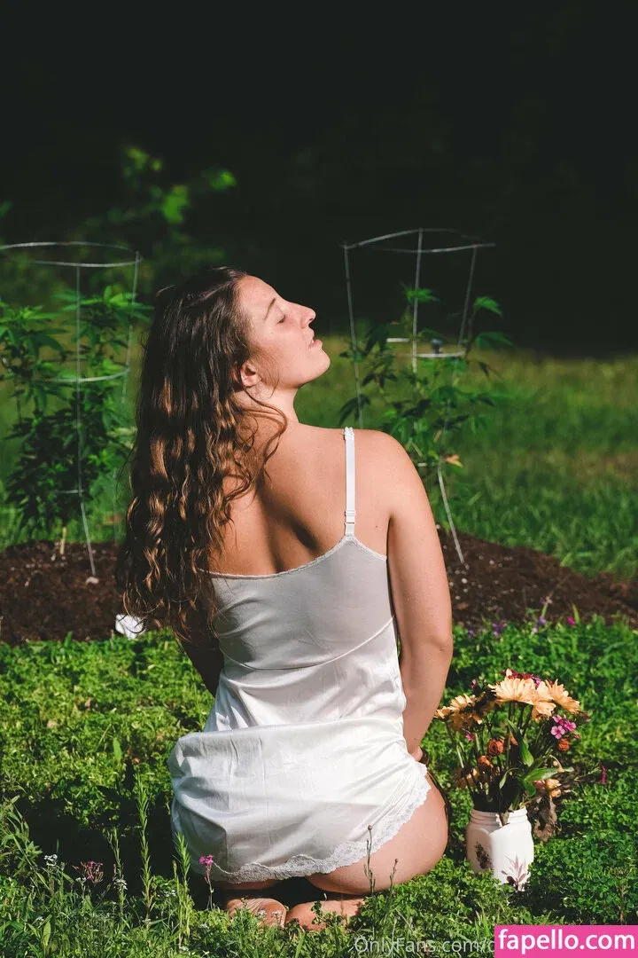 danceincannabis Onlyfans Photo Gallery 