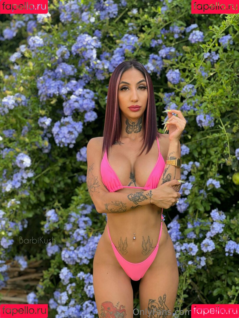 barbikush Onlyfans Photo Gallery 