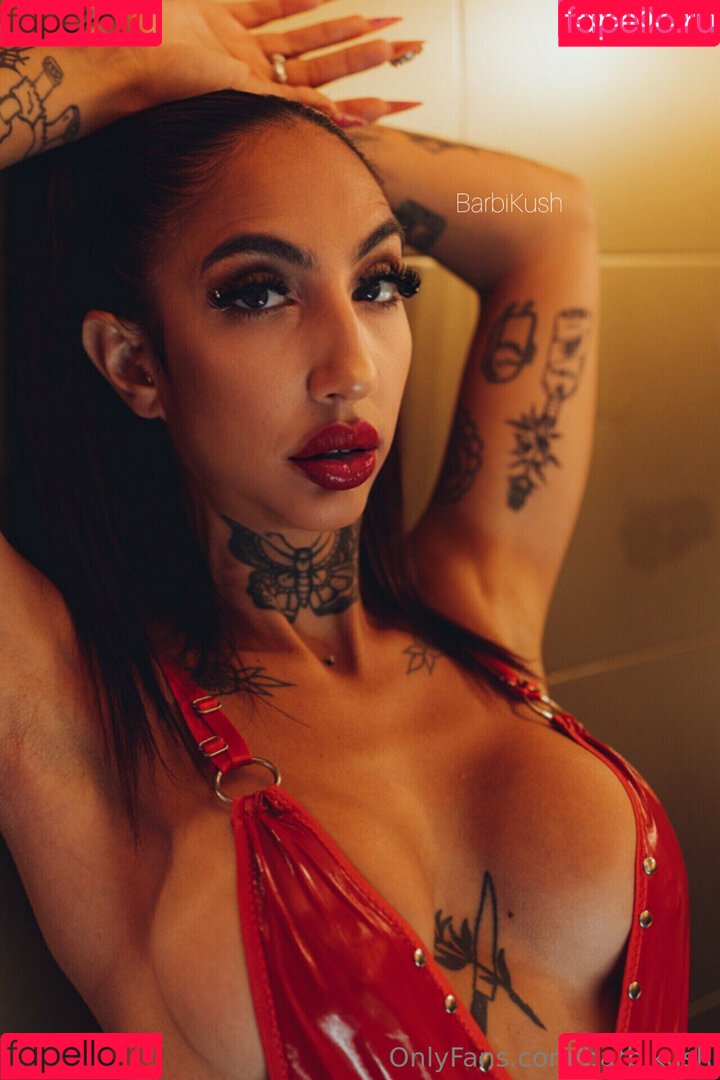 barbikush Onlyfans Photo Gallery 