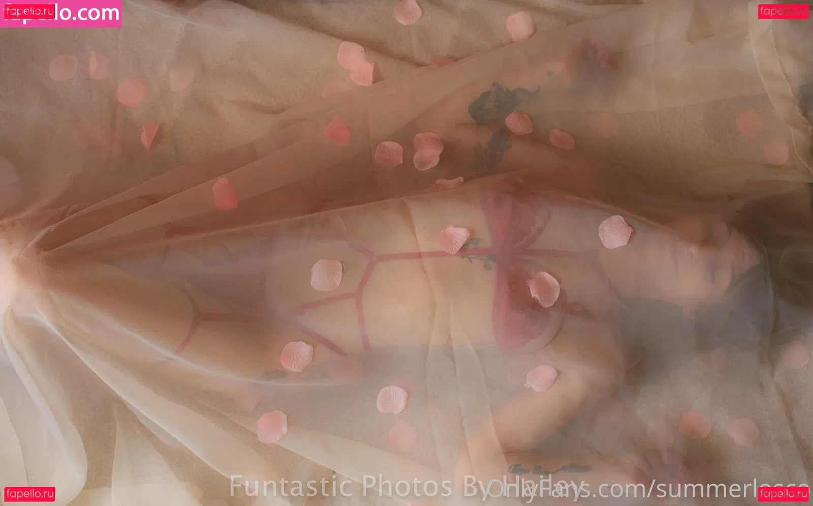 summerlosco Onlyfans Photo Gallery 