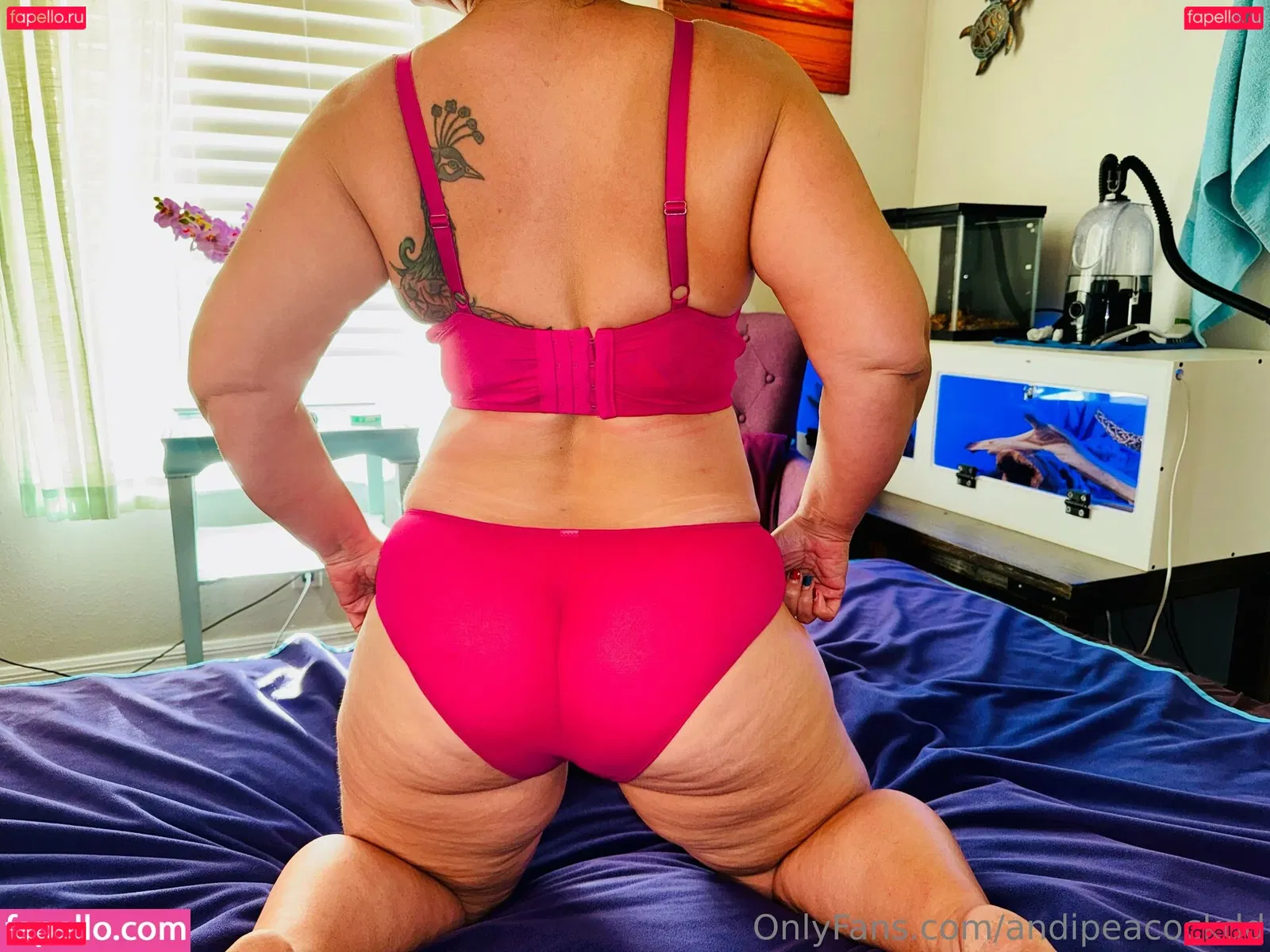 andipeacockdd Onlyfans Photo Gallery 