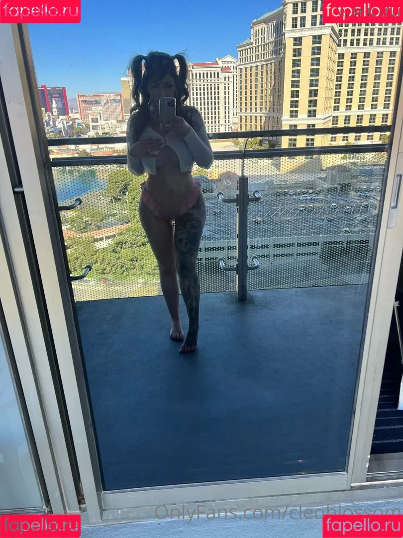 cleoblossom Onlyfans Photo Gallery 