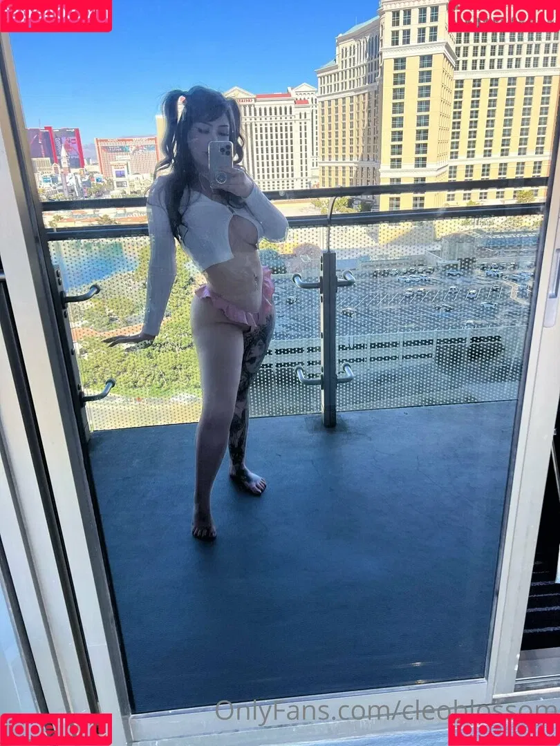 cleoblossom Onlyfans Photo Gallery 