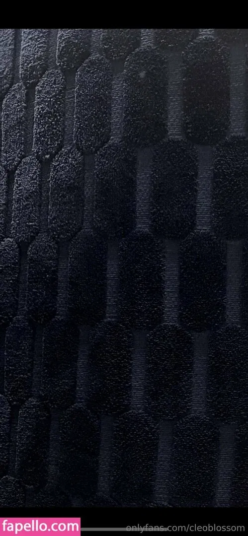 cleoblossom Onlyfans Photo Gallery 