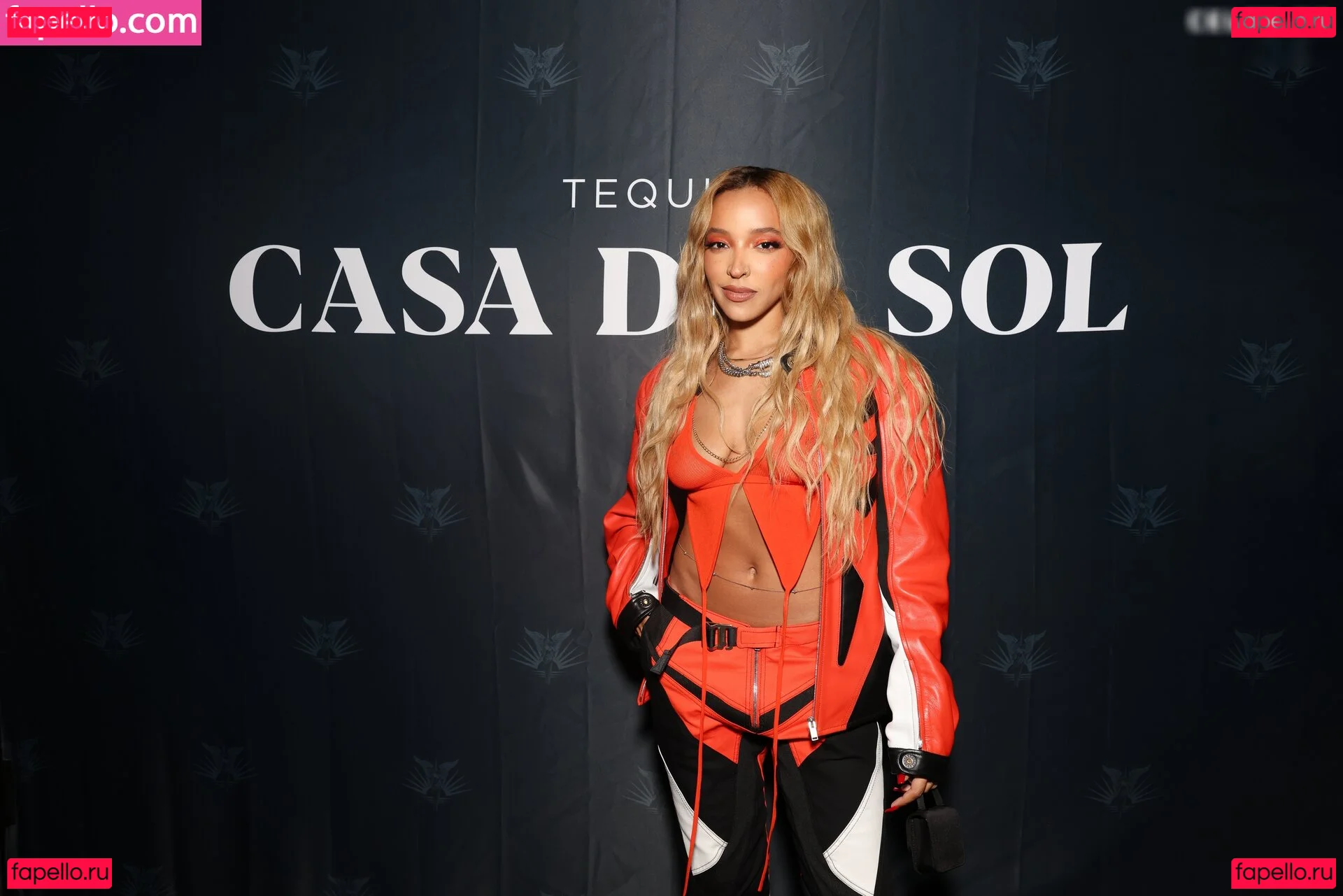 Tinashe Onlyfans Photo Gallery 