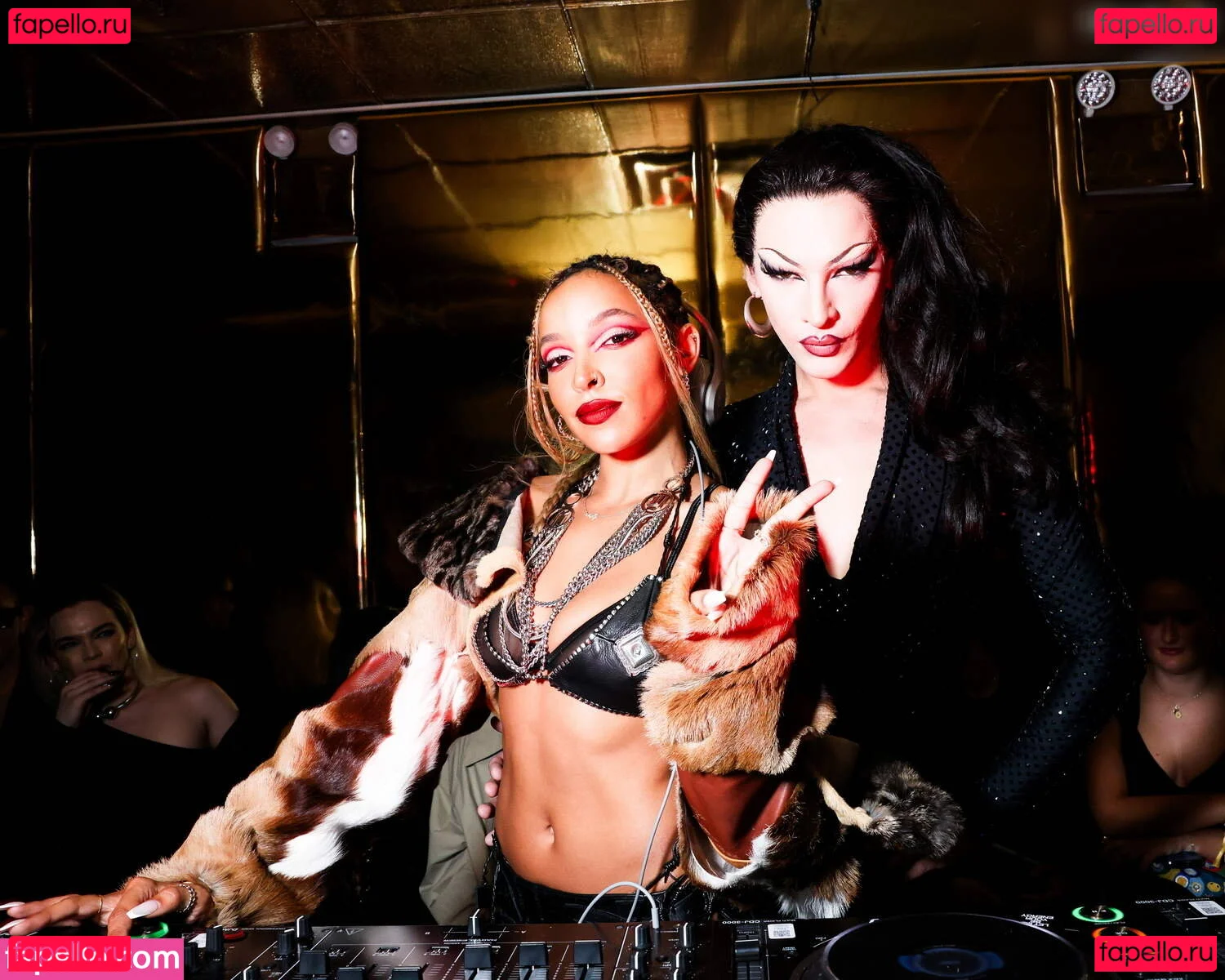 Tinashe Onlyfans Photo Gallery 