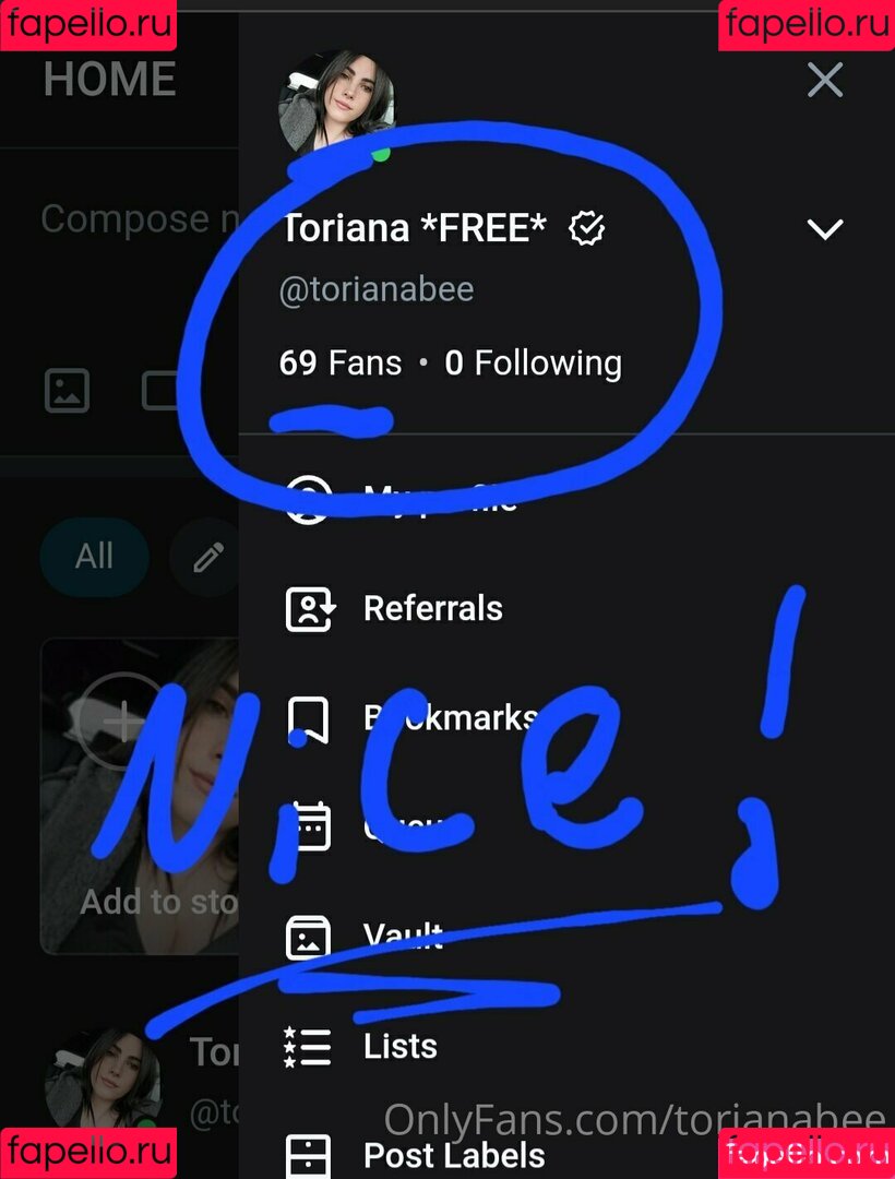 torianabee Onlyfans Photo Gallery 