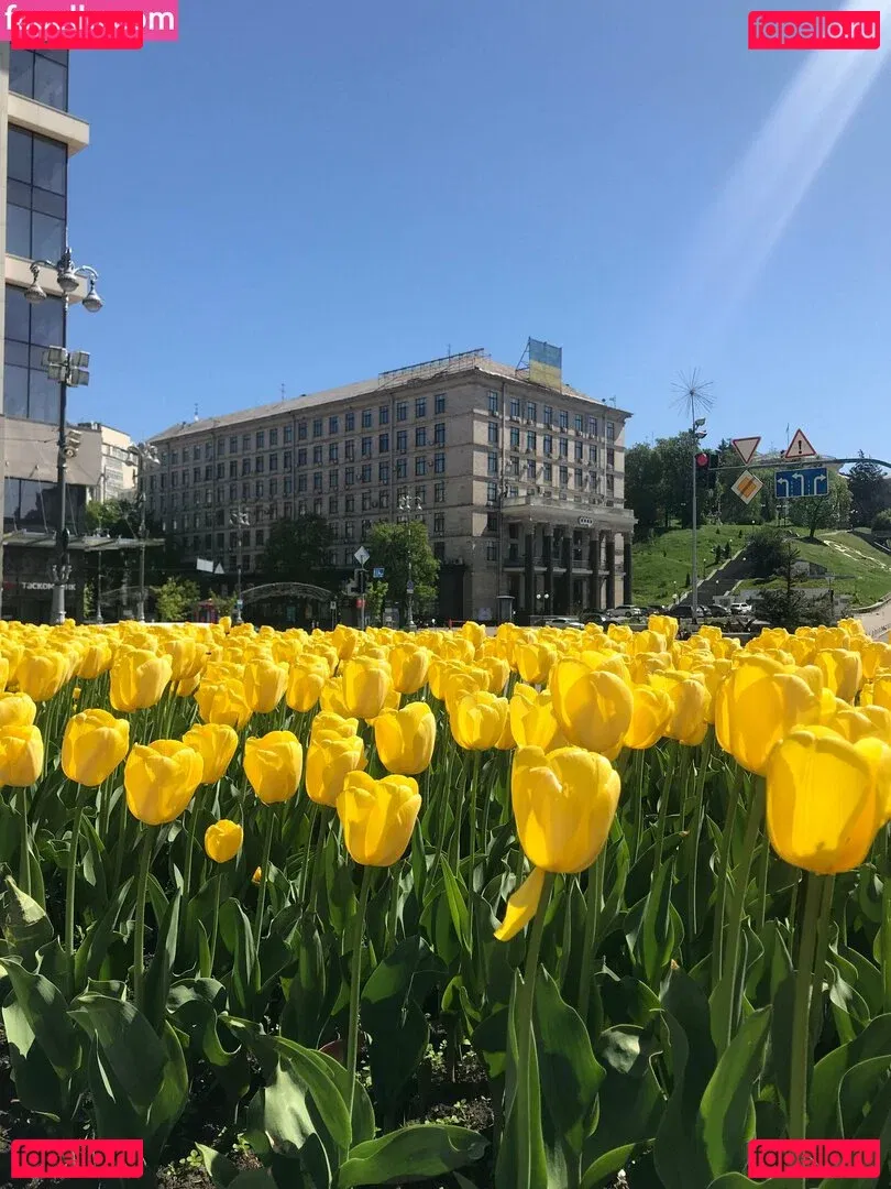 lili_babe Onlyfans Photo Gallery 