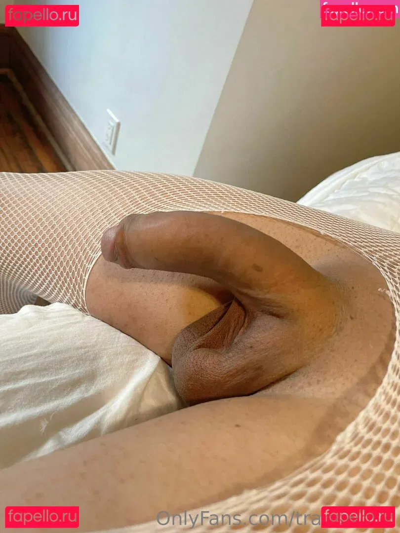 transworld Onlyfans Photo Gallery 