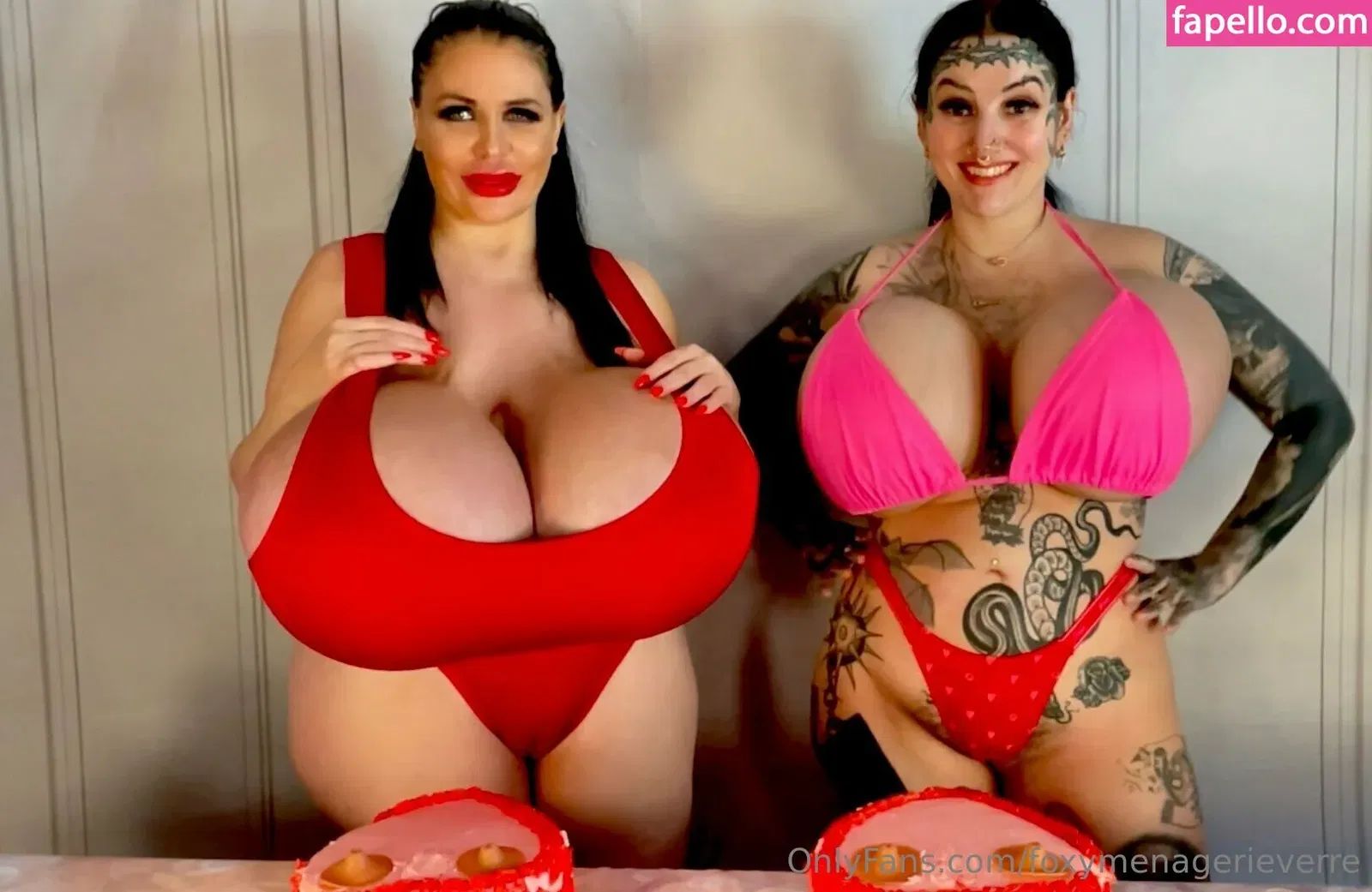 foxymenagerieverre Onlyfans Photo Gallery 