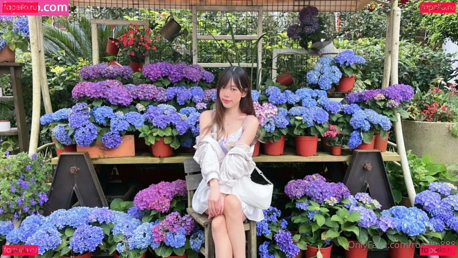 roselle888 Onlyfans Photo Gallery 